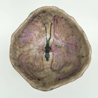 Image 3 of motyl czworonóg 