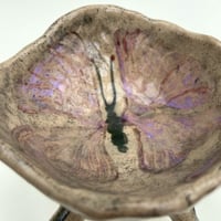 Image 4 of motyl czworonóg 