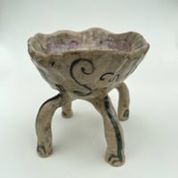 Image 5 of motyl czworonóg 