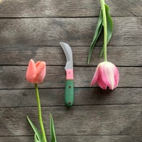 Pastel Pink Tulip Forager