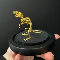Image 4 of Mouse skeleton I