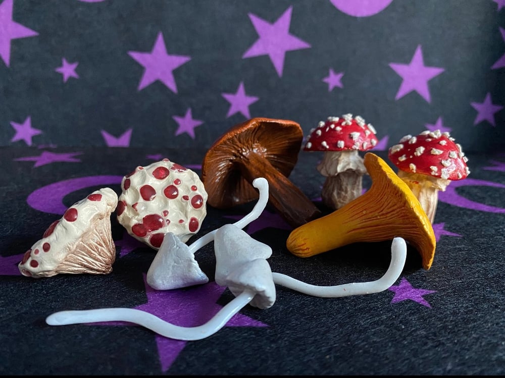 Image of Assorted Mushies (Decor Clay Mushies)