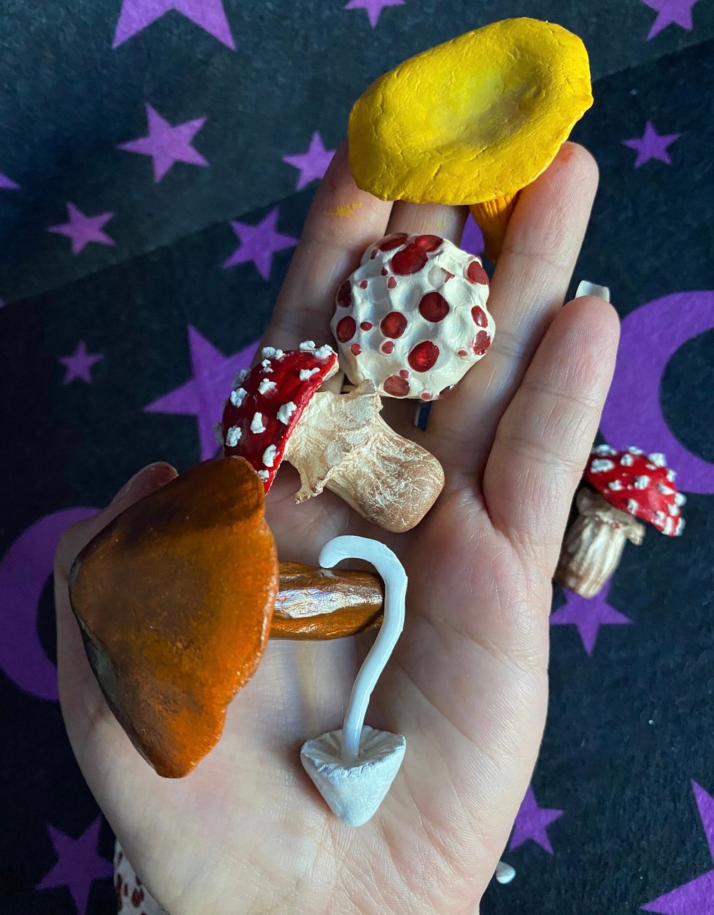 Image of Assorted Mushies (Decor Clay Mushies)