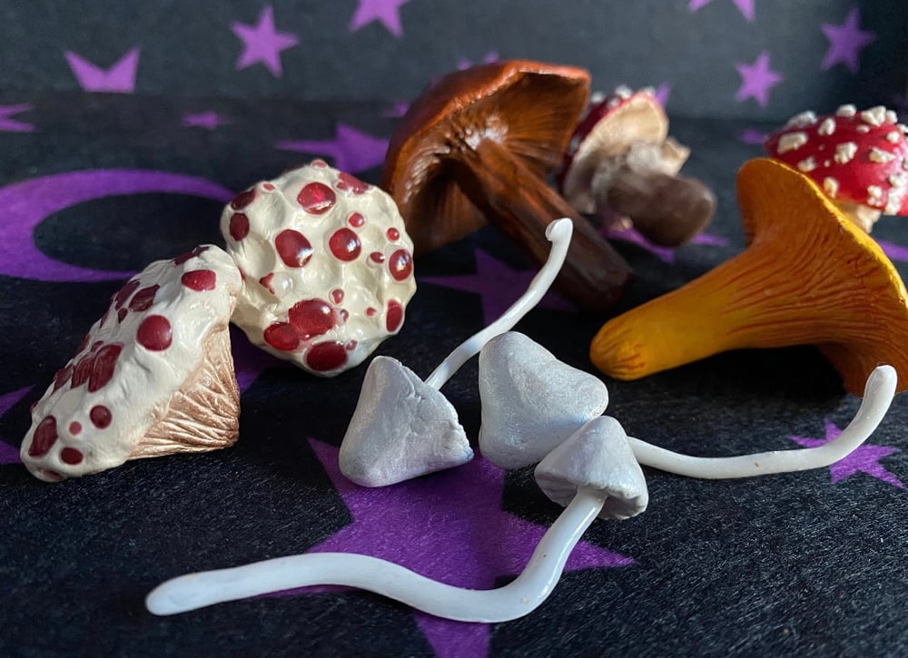 Image of Assorted Mushies (Decor Clay Mushies)