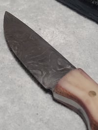 Image 1 of Small Damascus Skinning Knife