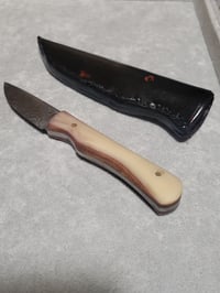Image 2 of Small Damascus Skinning Knife