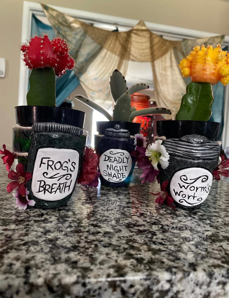 Image of Sally's Jars (Indoor Planters)