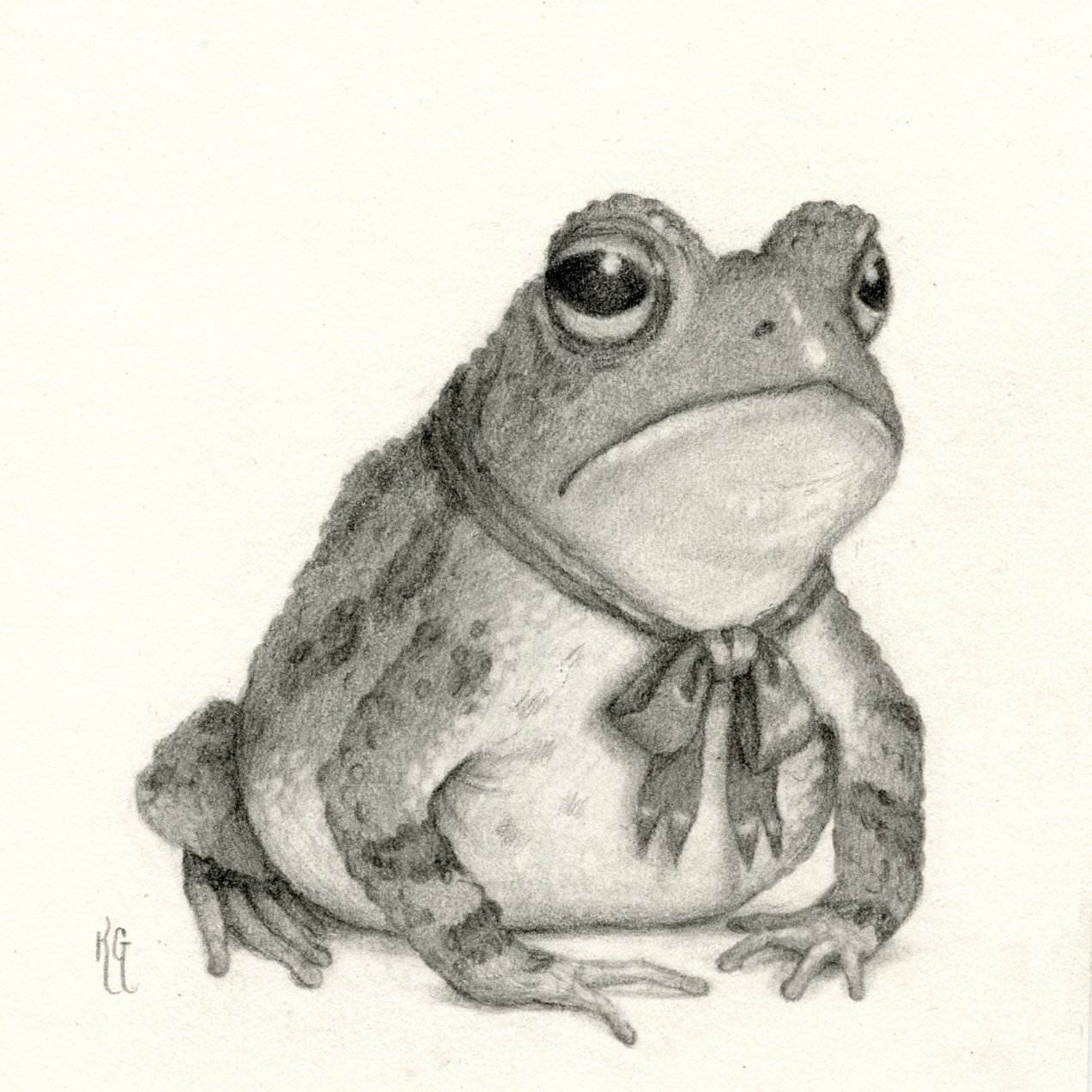 Image of Toad Drawing