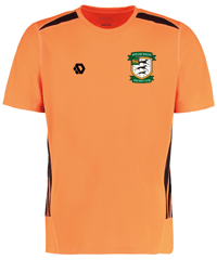 AMCC Ladies Game Shirt (Limited Availability)