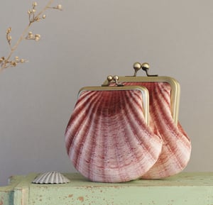 Image of Seashell, medium size printed velvet coin purse