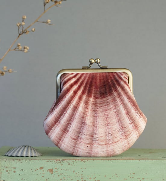 Image of Seashell, medium size printed velvet coin purse