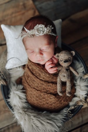 Image of Teddy lovey 