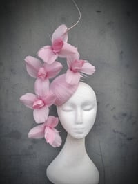 Image 1 of 'Zaz' in Baby Pink