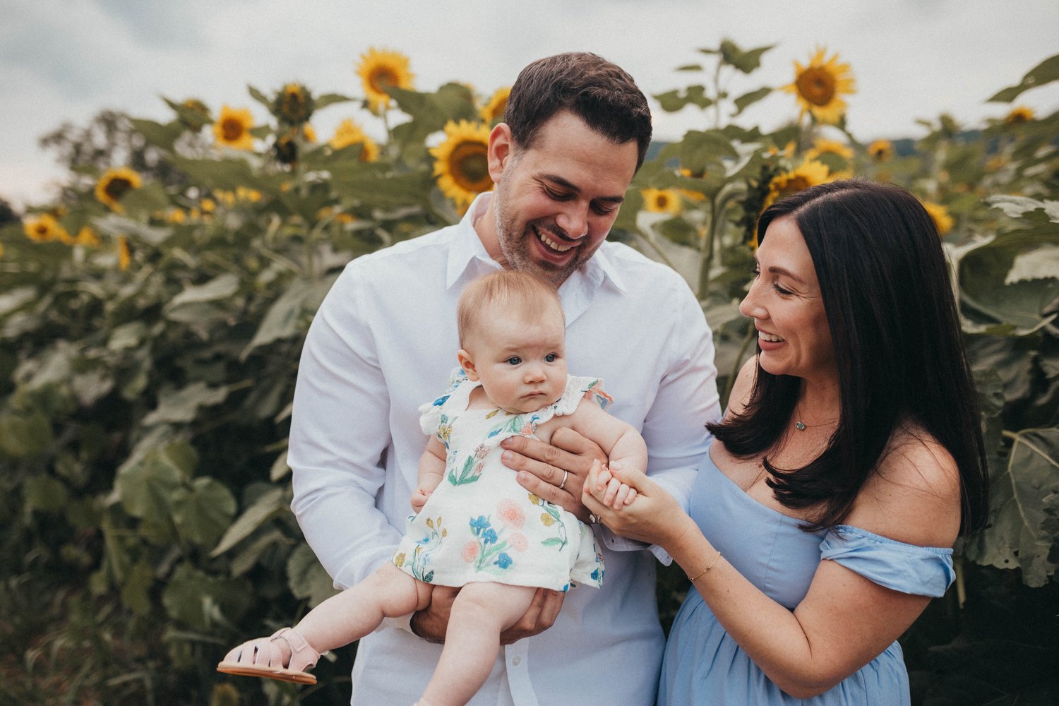 Image of Sunflower Mini Sessions 2024