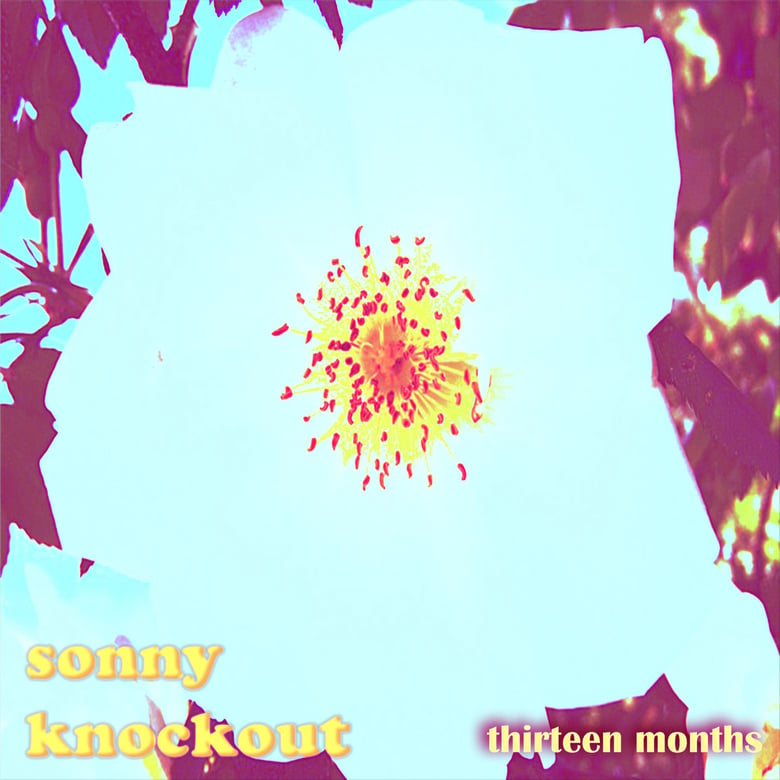 Image of Sonny Knockout - 13 Months - Digital EP - HG013