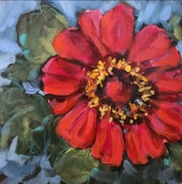 Pop of Color. 8x8