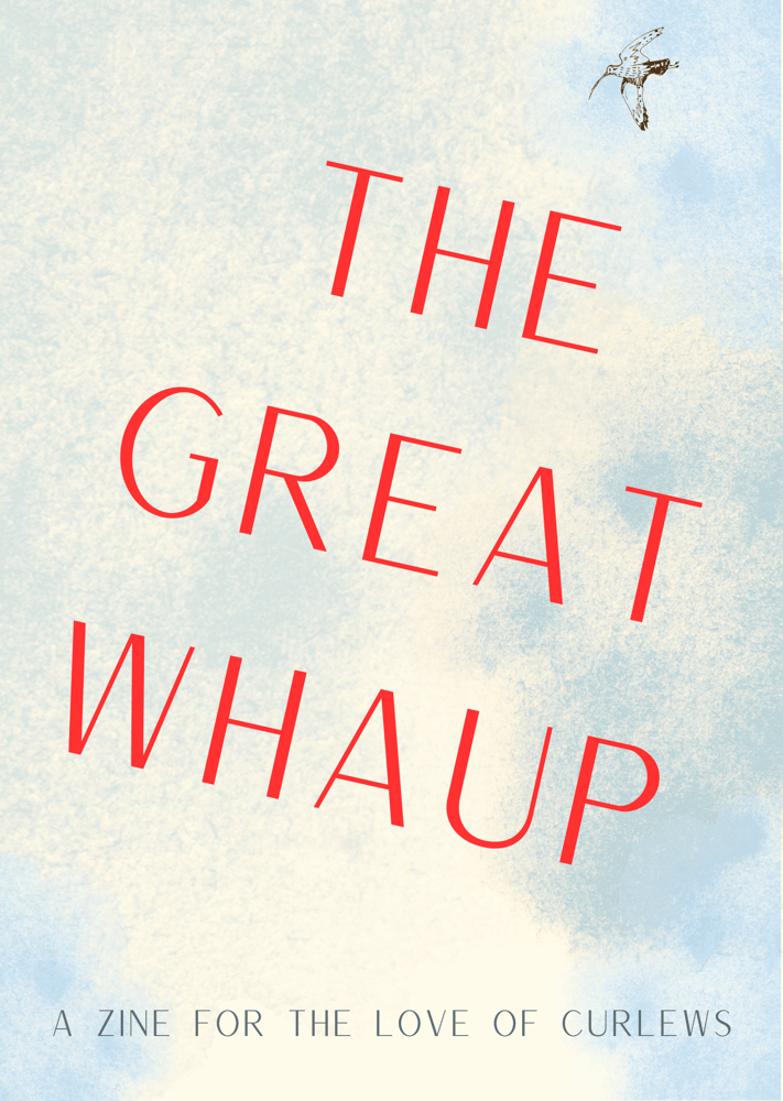 Image of The Great Whaup: A zine for the love of curlews