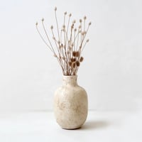 Image 1 of Vase finition nacrée