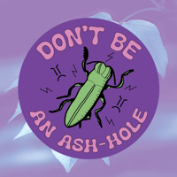 DON'T BE AN ASH-HOLE Sticker