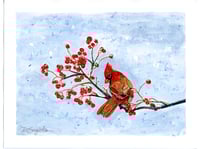 Winter Cardinal Print