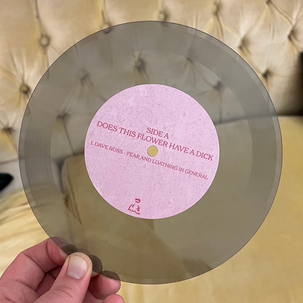 Does This Flower Have A Dick 7-inch (SMALL / Dave Ross Split Record)