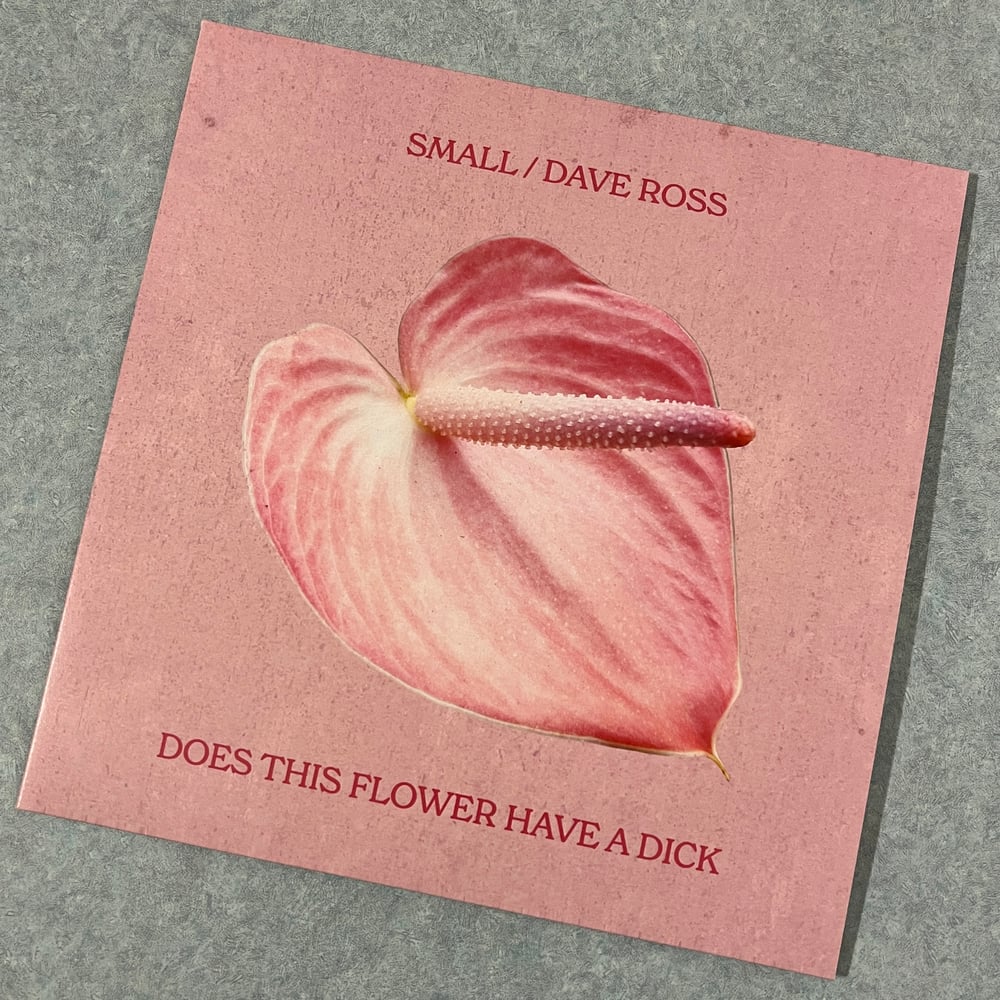 Does This Flower Have A Dick 7-inch (SMALL / Dave Ross Split Record)