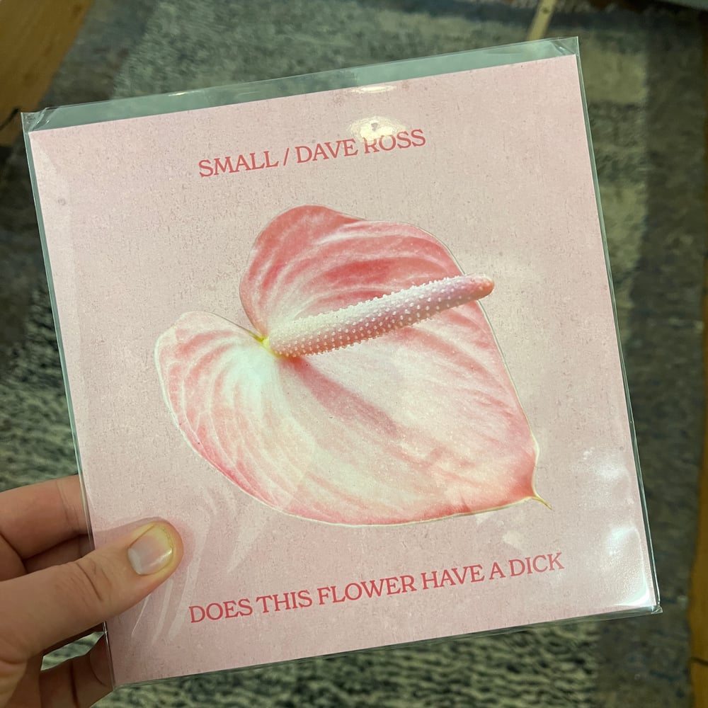 Does This Flower Have A Dick 7-inch (SMALL / Dave Ross Split Record)