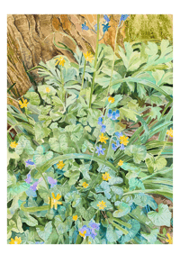 Image 2 of 'Fairyland under the trees' Print