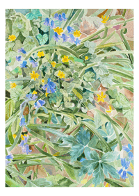Image 1 of 'Lost in the bluebells' Print