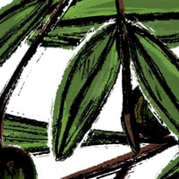 Image 2 of Olive Leaf Canvas Print