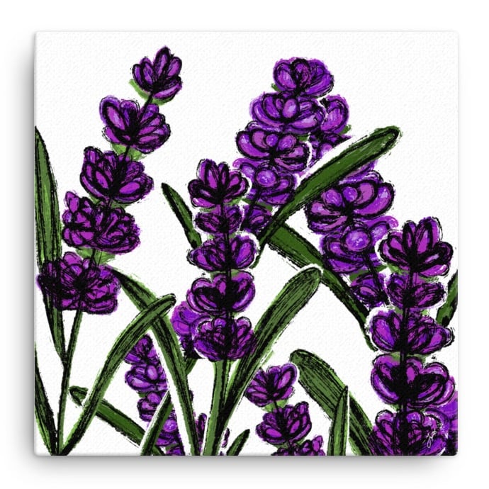 Image of Lavender Canvas Print