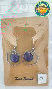 Earrings  #173