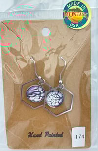 Earrings #174