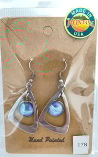 Earrings #178