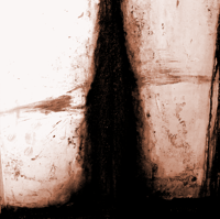 Image 1 of Stable - Empty Gestures (V30)