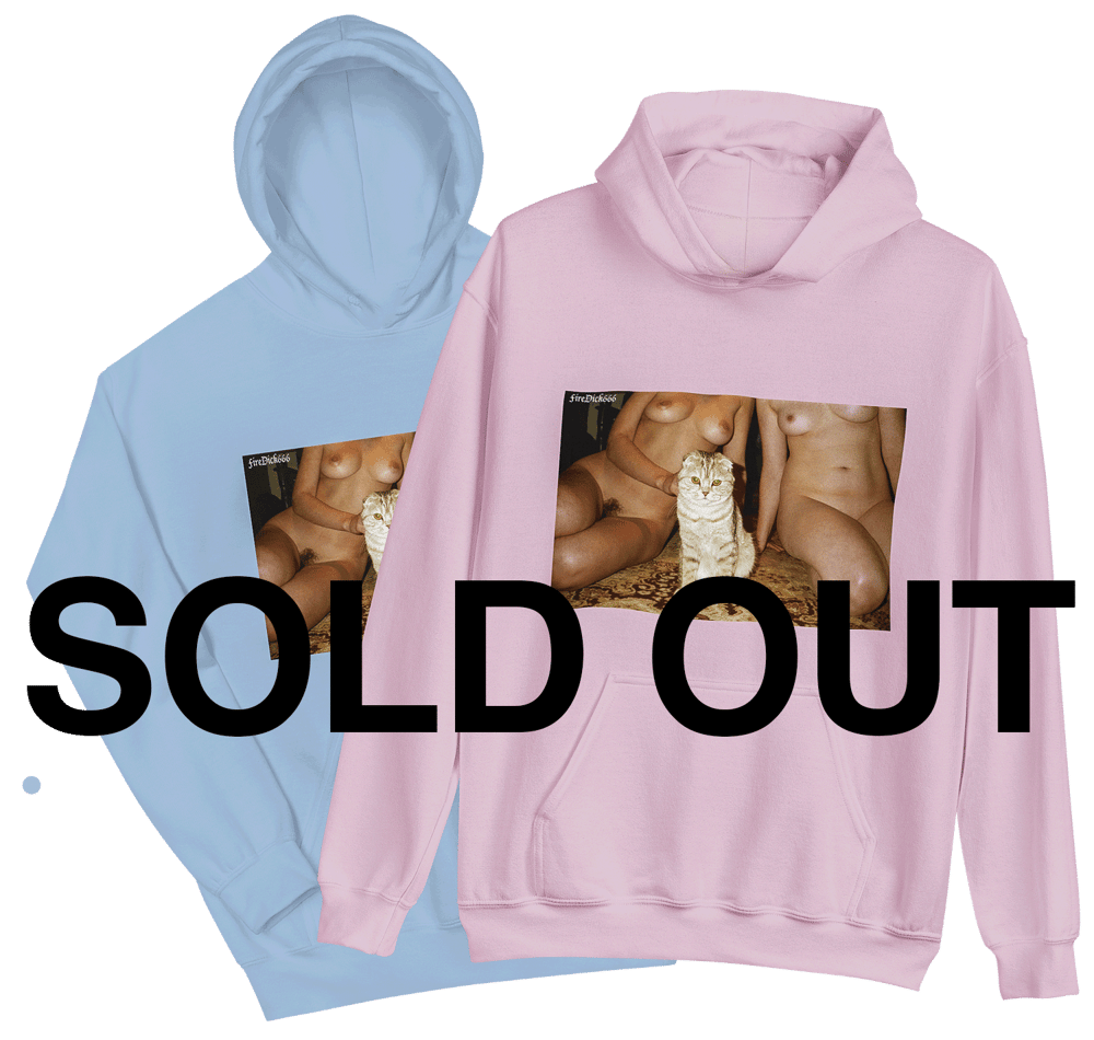 Image of Pussycats_001 Hoodie