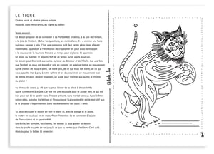 Animaux Totem - 4 Signes Feu