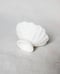 Image of Seashell teacup #25