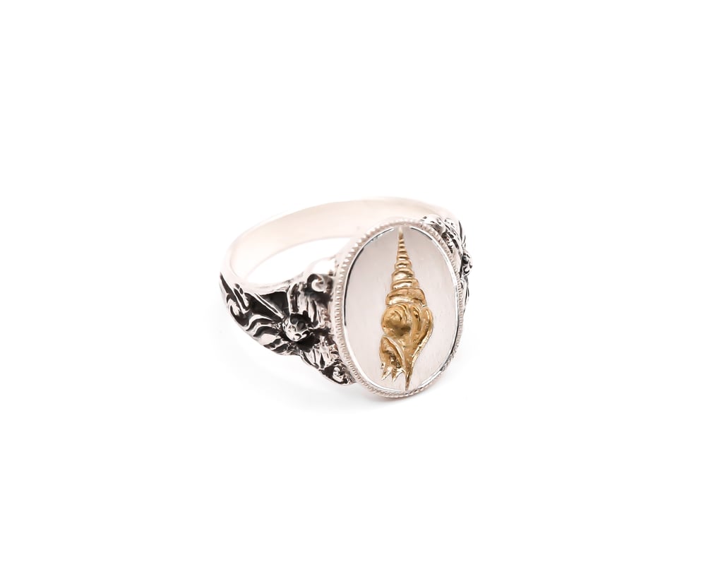 Image of Shell Signet Ring 