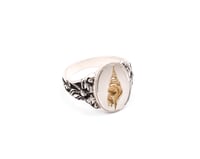 Image 2 of Shell Signet Ring 