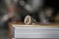 Image 3 of Shell Signet Ring 
