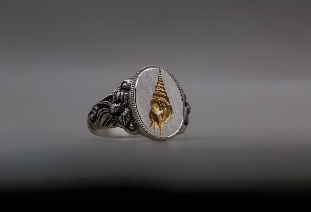 Image of Shell Signet Ring 