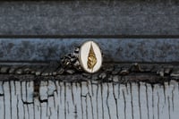 Image 4 of Shell Signet Ring 