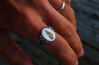 Image 6 of Shell Signet Ring 