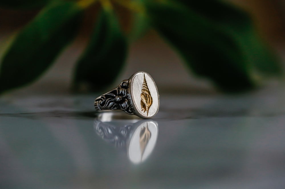 Image of Shell Signet Ring 