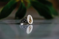 Image 7 of Shell Signet Ring 