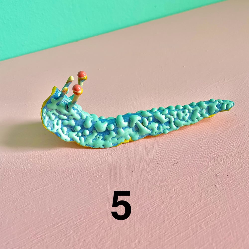 Image of Colour slugs 