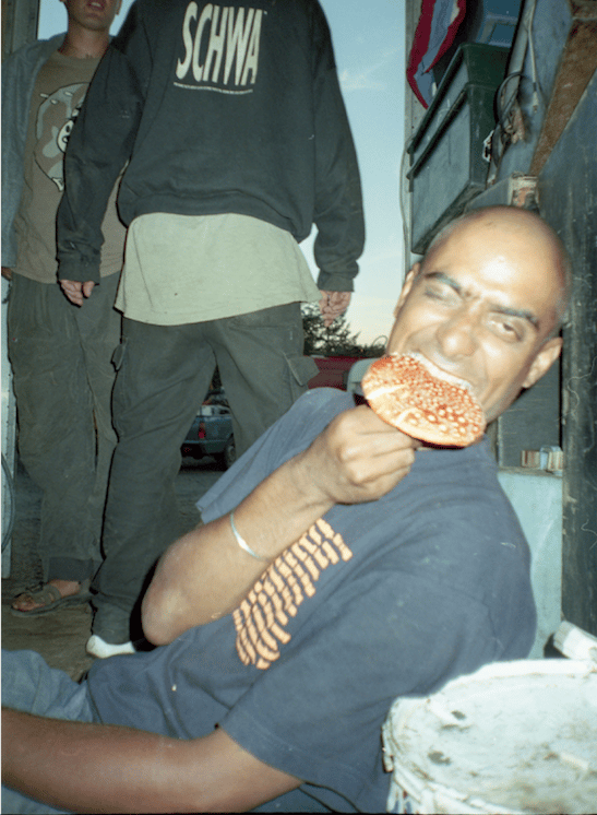 Image of ‘Mushroom moment. Hostomice, Czech Republic’, 1997 - SEANA GAVIN