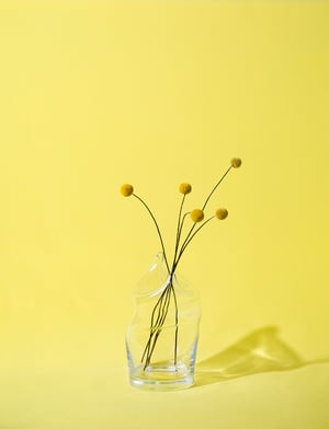 Irregular Vase N°13