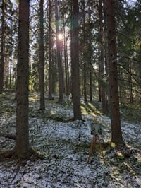 Image 5 of "Kaipuu" Original painting